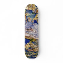 Gator Aligators Swamps Skateboards