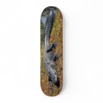 Gator Boarding Skateboards