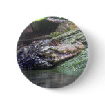 'Gator Grins - Button #2