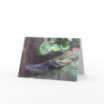 'Gator Grins - Greeting Card