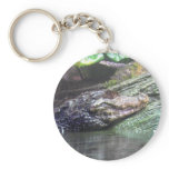 'Gator Grins - Keychain