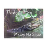 'Gator Grins: Thinking of You - Postcard