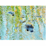 Gators Aligators Swamps photo sculptures