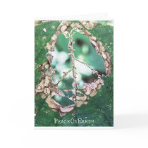 gave peace greeting card