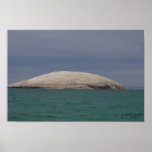 GAVIOTA ISLAND posters