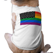 GAY AMERICAN