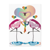 Gay Flamingos Postcards