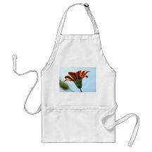 Gazania Aprons