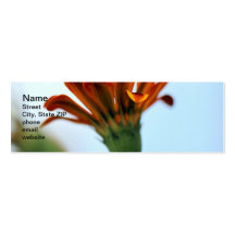 Gazania Business Card Template