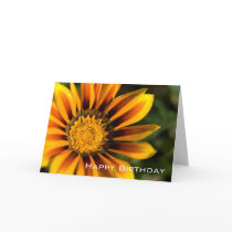 Gazania | Happy Birthday Greeting Cards