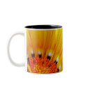 Gazania Mug