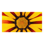 GAZANIA photo cards