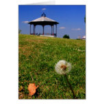 gazebo cards