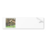 Gazelle Bumper Stickers bumper stickers