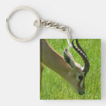 Gazelle Grazing Acrylic Keychain