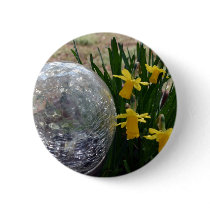 Gazing Ball and Daffodils after a rain Button