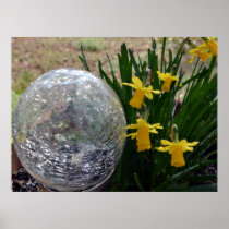 Gazing Ball and Daffodils Print