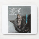 GECKO AND CAT MOUSEPAD