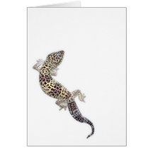 Gecko Card 01