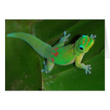 Gecko Cruising at Night Card