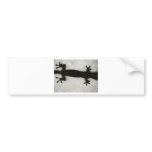 Gecko feet bumper sticker