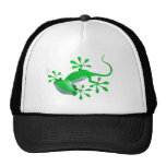 Gecko Hat