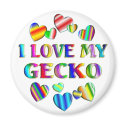 Gecko magnets