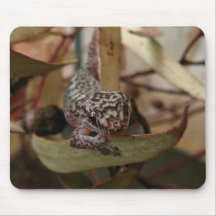 Gecko Mousepad