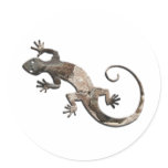 Gecko Stone Wall Stickers