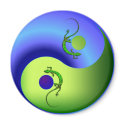 Gecko Yin Yang magnets