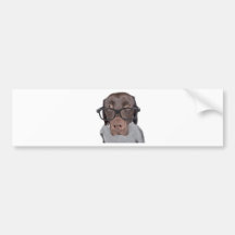 Geeky Dawg Bumper Stickers