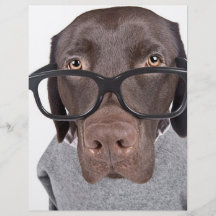 Geeky Dawg Flyer