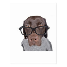 Geeky Dawg Post Cards
