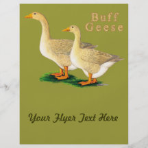 Geese:  American Buffs Personalized Flyer