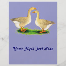 Geese:  Buff Goose and Gander Custom Flyer