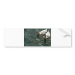 Geese bumper sticker