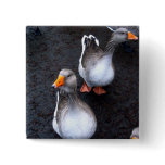 Geese buttons