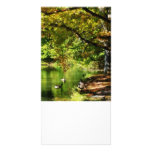 Geese by Pond In Autumn Photo Card Template