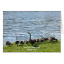 Geese by the Lake Note Card