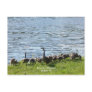Geese by the Lake Postcard