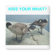 Geese magnets