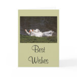 Geese in the Duckpond cards