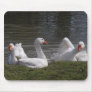 Geese in the Duckpond Mousepad