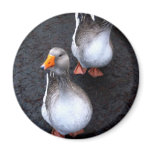 Geese magnets