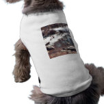 Geese on an Icy Pond pet clothing