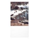 Geese on an Icy Pond photo cards