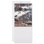 Geese on an Icy Pond rack cards
