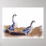 Geese posters