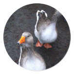Geese stickers