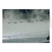 Geese Take Flight Card